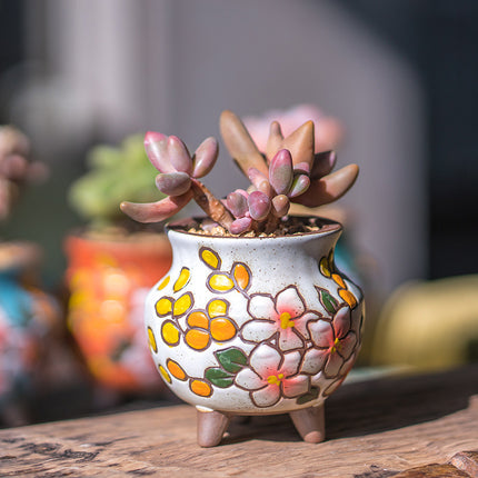 Mini macetas de cerámica pequeñas y creativas para plantas verdes de interior