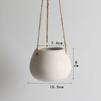 White / Holey
