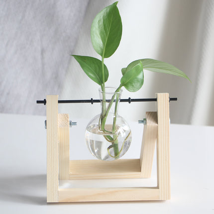 Creative Wooden Frame Hydroponic Glass Flower Plant Green