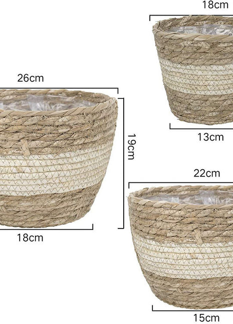 Straw Flower Basket Planter ⭐