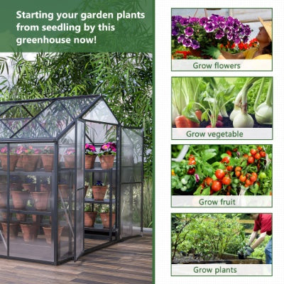 8 X 12'Outdoor Greenhouse, Heavy Duty Polycarbonate Greenhouse