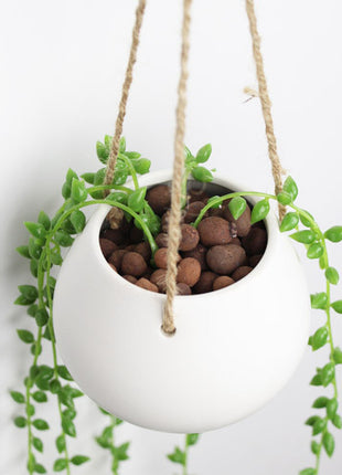 Maceta colgante para plantas