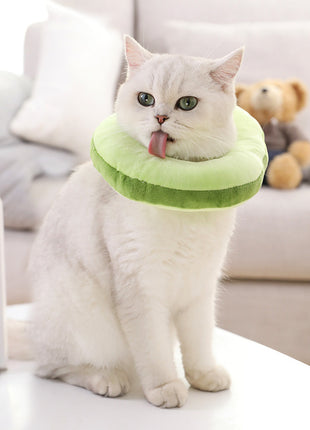 Funny Toast Cat Hat ⭐