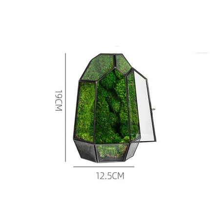 Green Plant Ecological Bottle Potted Plants