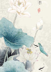B / 10 x 15 cm
