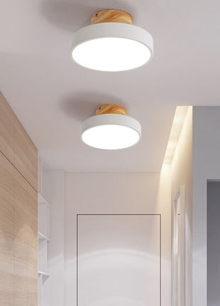 Modern Hallway Ceiling Light