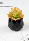 Moon Lotus Pot Included