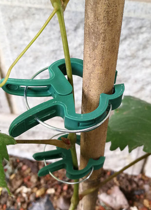 Plant Support Clips