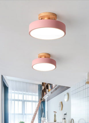 Modern Hallway Ceiling Light