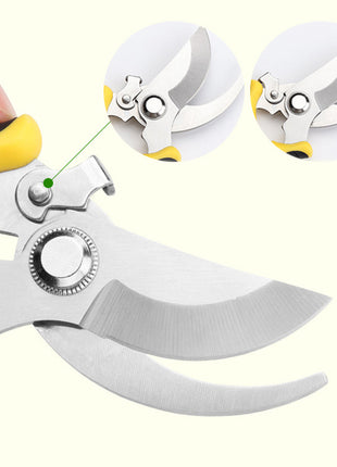 Garden Pruning Shears