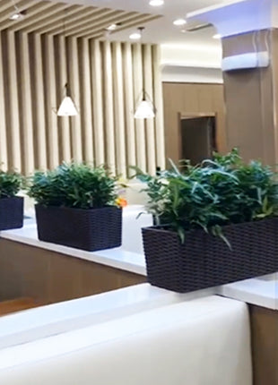 Self-Watering Rattan Planter