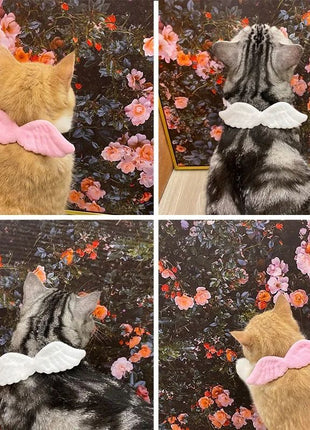 Nuevos accesorios de alas de ángel con collar blanco para mascotas, específicos para gatos