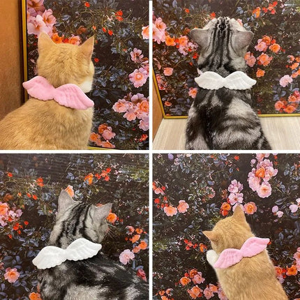 Nuevos accesorios de alas de ángel con collar blanco para mascotas, específicos para gatos