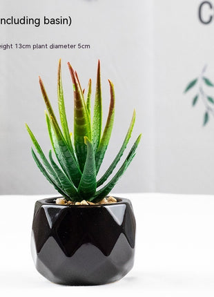 Artificial Succulent Plant
