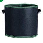 Black green edge / 10gallon