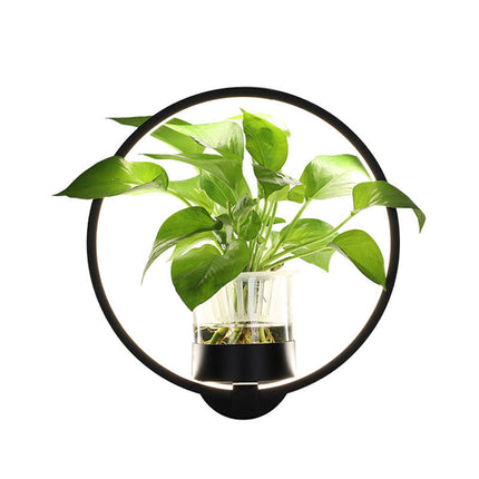 Decorative Wall Sconce
