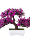 Tipo B3 25X18cm