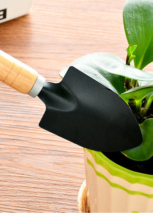 Pala para tierra suelta para plantas caseras 
