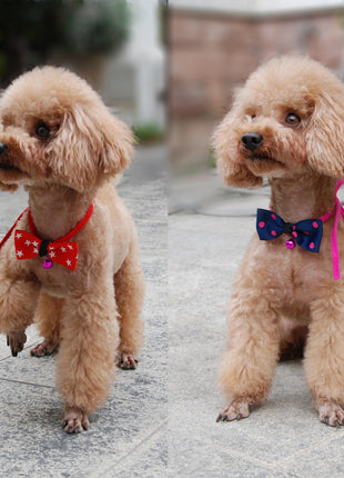 Accesorios para mascotas lazo para mascotas
