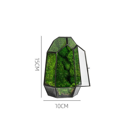 Green Plant Ecological Bottle Potted Plants