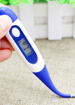 Waterproof Digital Thermometer