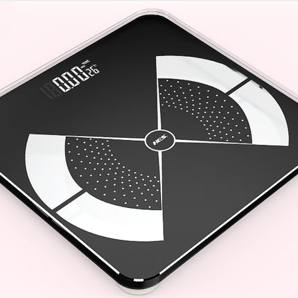 Rechargeable Digital Scale