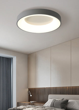 Modern Minimalist Ceiling Light