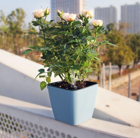 Self-Watering Plastic Planter