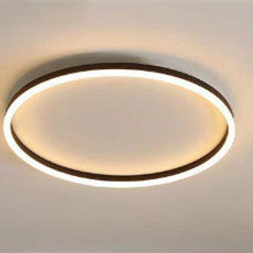 Modern Ceiling Light ⭐