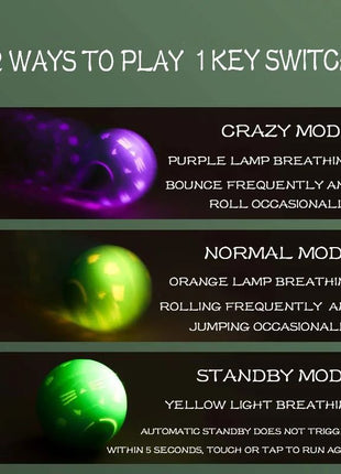 Interactive Self-Moving Cat Ball Toy