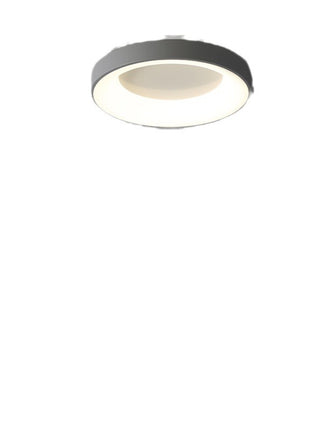 Modern Minimalist Ceiling Light