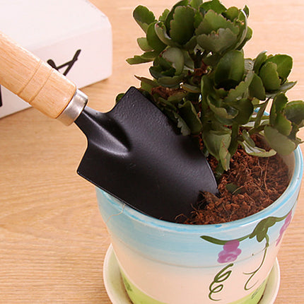 Pala para tierra suelta para plantas caseras 