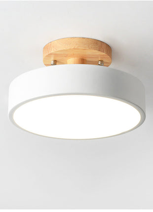 Modern Hallway Ceiling Light
