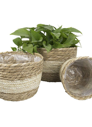 Cesta para plantar con marco de flores y maceta de paja