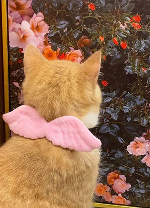 Nuevos accesorios de alas de ángel con collar blanco para mascotas, específicos para gatos