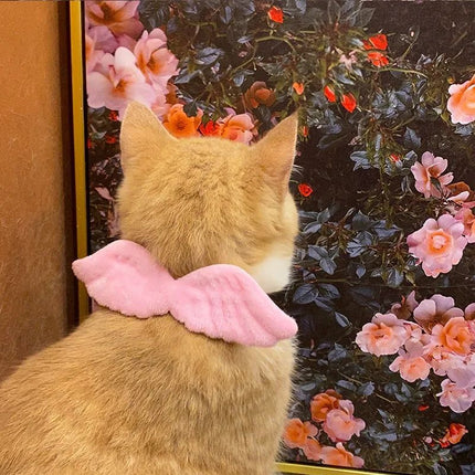 Nuevos accesorios de alas de ángel con collar blanco para mascotas, específicos para gatos