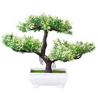 Tipo B2 25X18cm