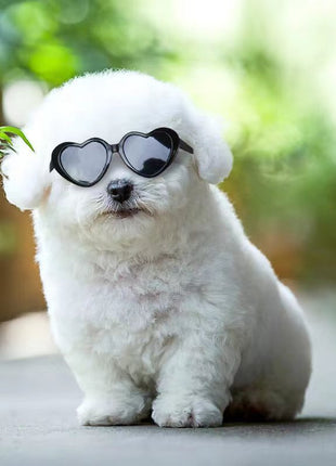 Doll Sunglasses Pet Toy Accessories