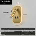 3W Warm Light / 3131 Intrinsic Color Of Copper