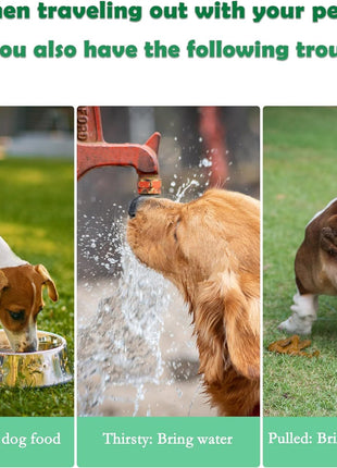 Portable Dog Water Bottle