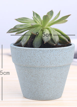 Macaron Flower Pot