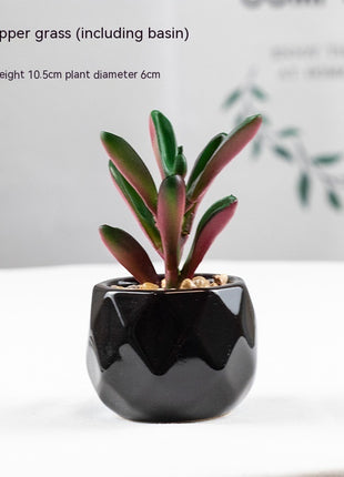 Artificial Succulent Plant
