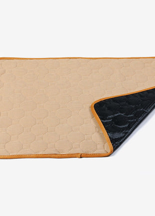 Alfombrillas impermeables para perros que absorben el agua