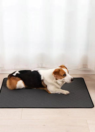 Alfombrillas impermeables para perros que absorben el agua