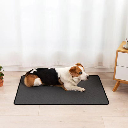 Waterproof Dog Mats Water-absorbing Dog