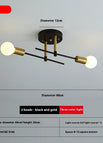 Light Source Not Included / Style D Black Copper