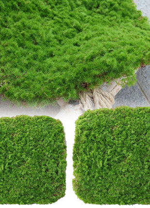 Artificial Moss Mat