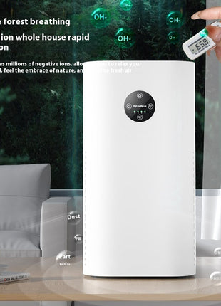Air Purifier with Ionizer