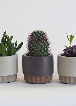 Silicone Plant Pot Mold