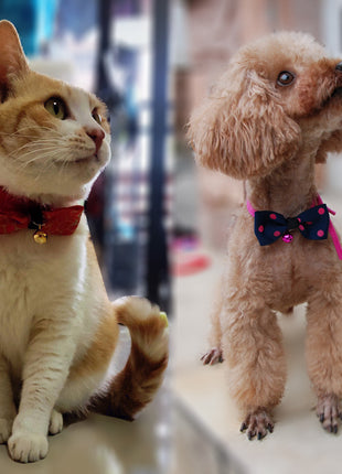 Accesorios para mascotas lazo para mascotas